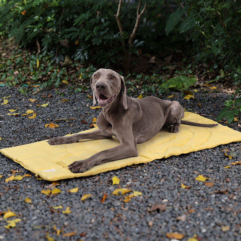 حصيرة الحيوانات الأليفة المحمو - مراجعة Outdoor Camping Mat Waterproof وسعره