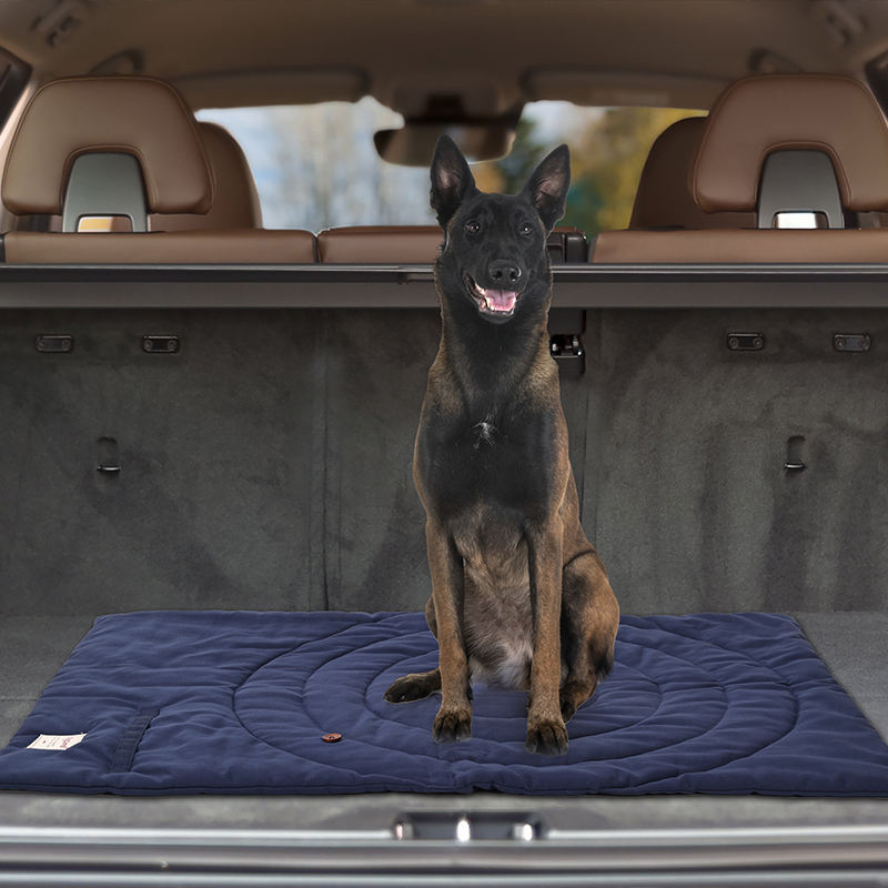 حصيرة الحيوانات الأليفة المحمو - مراجعة Outdoor Camping Mat Waterproof وسعره